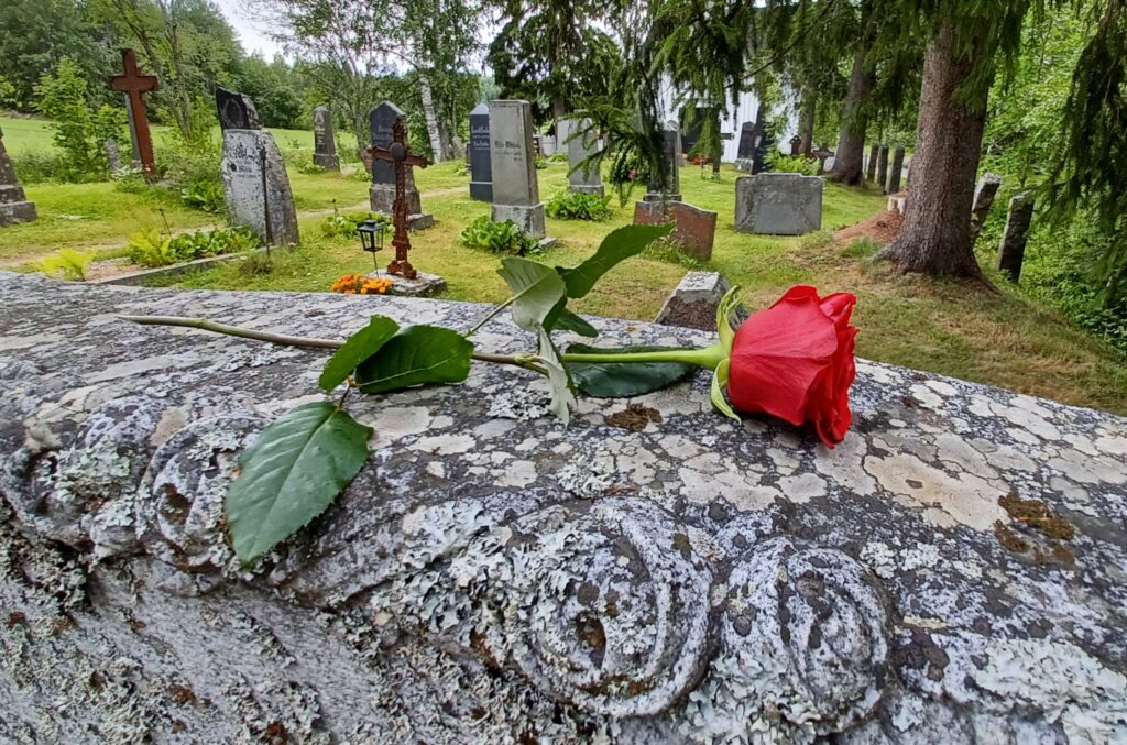 Kuva hautakiven päällä olevasta punaisesta ruususta. Taustalla kesäistä hautausmaata muistomerkkeineen.